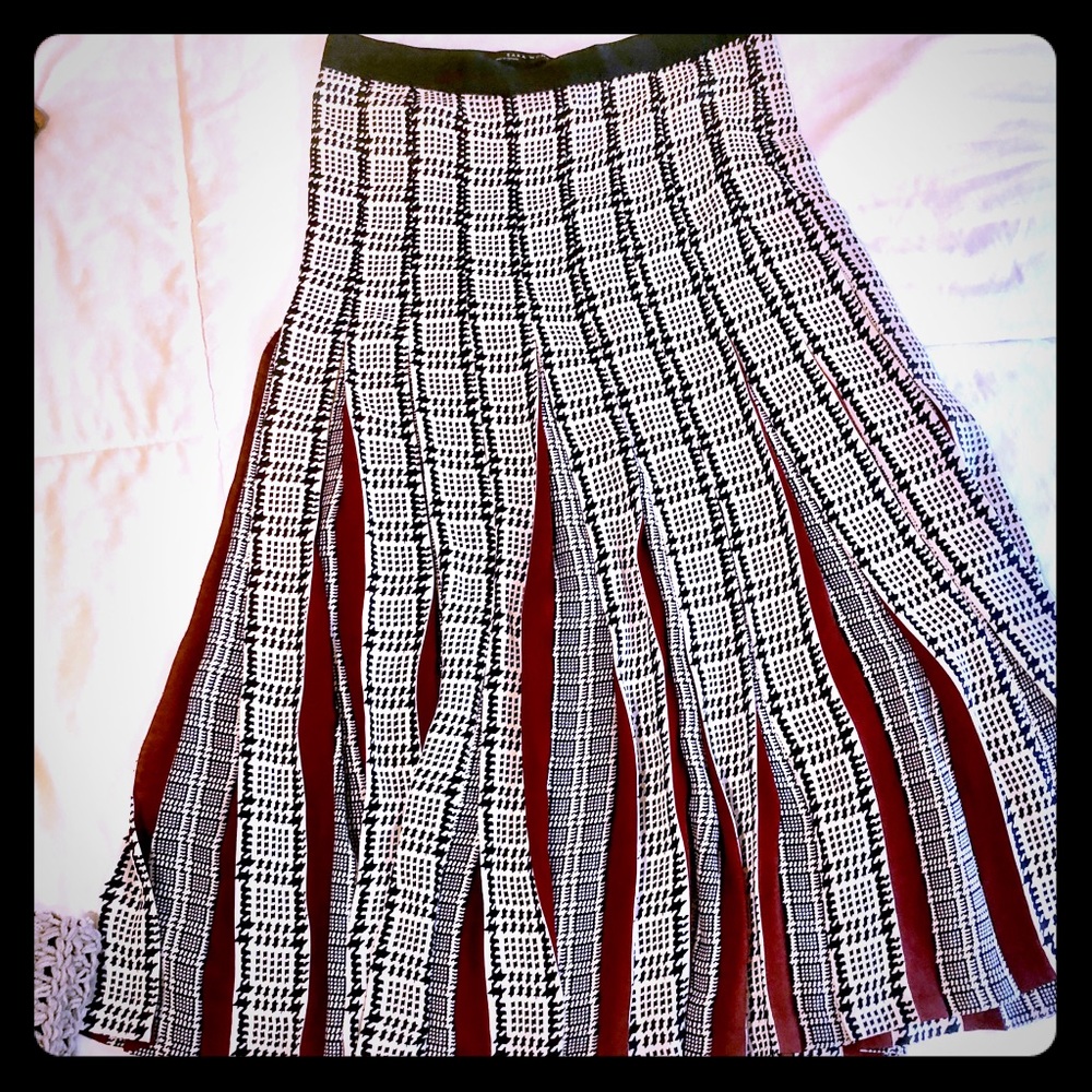 ZARA Skirt